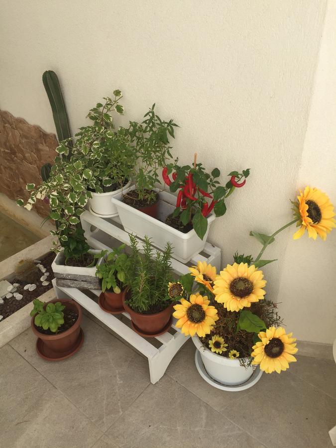 Caelum Case Vacanza Trapani Luaran gambar
